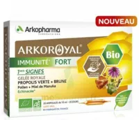 Arkoroyal Immunité Fort Solution Buvable 20 Ampoules/10ml à VILLENAVE D'ORNON